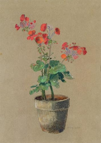 ZHAOSHAN klassischer Tier Bilder Grafiti Kunst Poster Geranien im topf von odilon Redon Vintage Wandbild für Wanddekoration 60x90cm