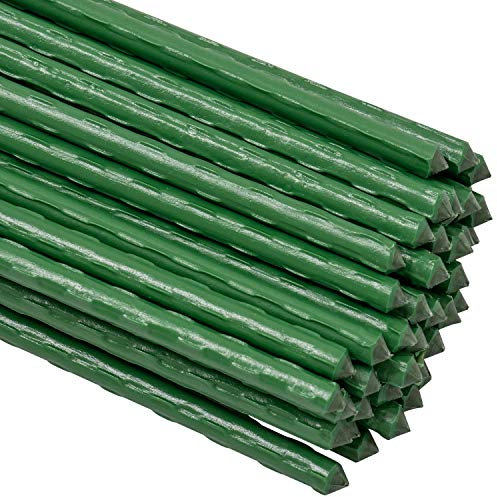 Woodside Green Garden Plant Stakes, Coated Steel Shrub/Vine Support Spikes, Pack of 50, 8mm x 60cm