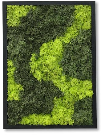 Comforder Quadro Muschio Stabilizzato Rettangolare (27x38 cm), Muschio Vero con Cornice in Legno per Decorazione da Parete Soggiorno