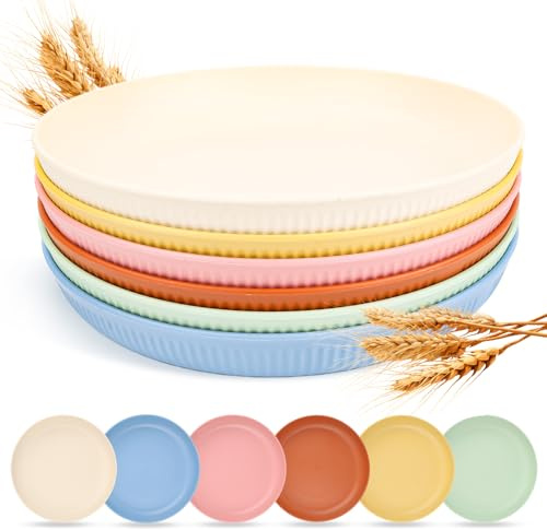 SUPRROW Pack of 6 Reusable Plastic Plates Camping Plates Plastic Plates Picnic 23 cm Large Melamine Microwave Dishwasher Safe for Outdoor Party Home Travel