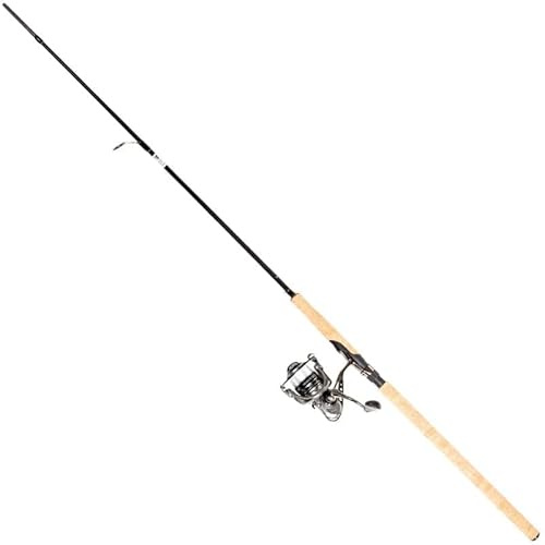 FLADEN Combo Maxximus Seatrout 200-260cm Meerforellen-Kombo Rolle Rute Schnur