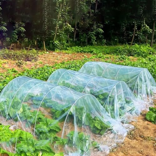 Película de polietileno para invernadero, cubierta de jardín al aire libre, fuerte protección resistente a los rayos UV para plantas contra la intemperie, heladas e insectos en agricultura y