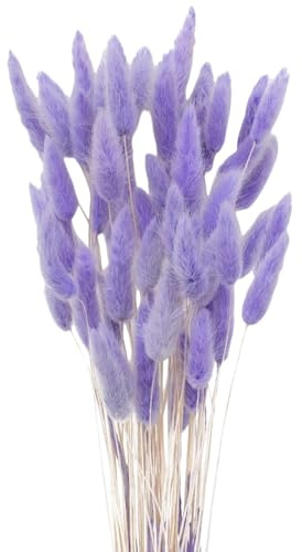 JOBAODAN Getrocknetes Pampasgras,Kaninchenschwanz Gras 60 Stück Natürlicher Trockenblumen Blumenstrauß Deko Künstlich Groß Trockenblumen Pampasgras für Inneneinrichtungen Fotografie Hochzeit Lila