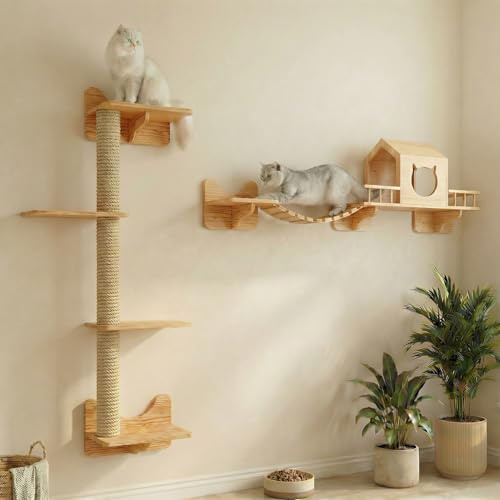 Set da parete per gatto arrampicata, mobili per gatto con 1 casa, 1 scala a ponte, 3 pali antigraffio e 5 gradini