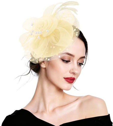 DRESHOW Fascinators per Capelli da Donna Fascinator Chapeau Nuptiale Plumes Cheveux Clip Accessoires Cocktail Royal Ascot