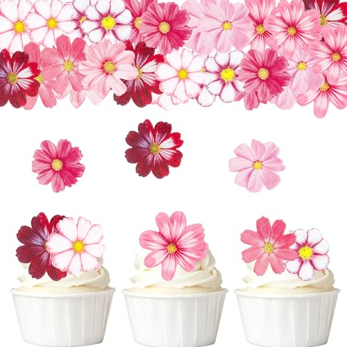 ALLAVA 65Pcs Edible Flowers Cake Decorations,Cupcake Toppers Edible Pink | Flowers Cake Toppers,Birthday Cake Decorations Garden Cosmos,Wafer Paper Flowers for Cakes Wedding Baby Shower Birthday Party