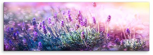 Leinwandbild 120x40cm Naturfotografie – Blühender Lavendel in der Sonne