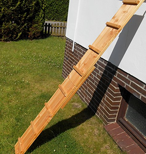Jennys Tiershop 2 Meter! Katzenleiter/Katzentreppe mit einem Verbinder für Balkon, Mit Gummiklemmschellen. Extra 21 cm Breit. Douglasie