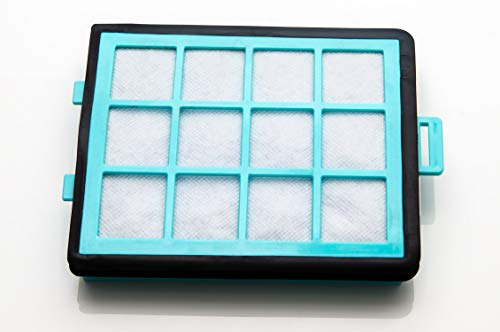 Premium Staubsaugerfilter/Motorschutzfilter kompatibel mit Philips PowerPro, Ersatz für Filtertyp CRP745/01, 432200533151, waschbarer Vormotorfilter/Ansaugfilter, Staubsauger Ersatzfilter