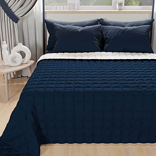 PETTI Artigiani Italiani - Couette Maxi Double Reversible 270x260 cm en Microfibre, Couvre-lit Printemps Maxi Double, Couverture 2 Personne Réversible, Bleu Blanc, 100% Fabriqué en Italie