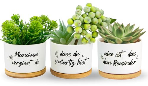 Aomaic 3 Stück Sukkulenten Töpfe, Blumentöpfe Geburtstagsgeschenk Geschenke für Schwester Mama Kinder Familie Freund mit Manchmal vergisst du, DASS du großartig bist, Also ist das Dein Reminder