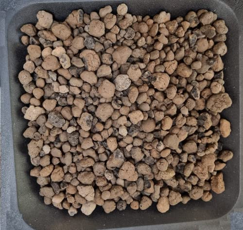 AlmaStore Argilla Espansa per Piante in Vaso | Pacciamante e Drenante per vasi e Fiori | 3 Litri - 5 Litri - 10 Litri (5 Litri)