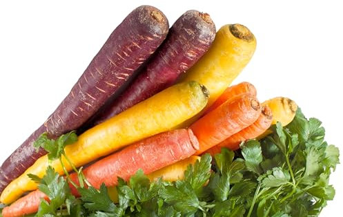 Sachet de graines de Carotte Hyb. Rainbow (mélange de couleurs) - Sachet de 0,5 grammes - Graines de style