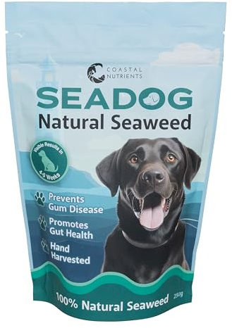 Sea Dog Dental Powder for Dogs by Coastal Nutrients with Scoop - Seaweed for Dogs - Natural Dog Breath Freshener & Dog Plaque Powder - Natural and Sustainably Sourced - 250g Pouch