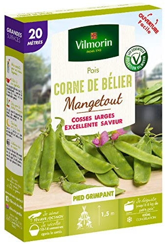 Vilmorin - Graines de Pois mangetout Corne de Bélier - 20 mètres