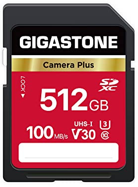 GIGASTONE Scheda di Memoria SDXC 512 GB, Camera Plus, Velocità 100 MB/s per Fotocamera Canon Sony Panasonic Kodak Olympus, V30 U3 UHS-I Classe 10 per 4K UHD Video, con 1 Mini Custodia