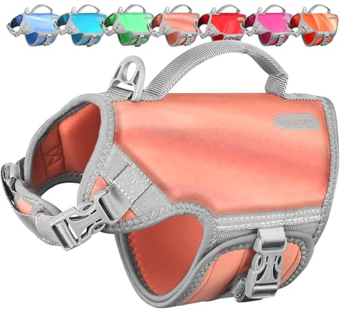 VIVAGLORY Hunde Schwimmweste Neoprene Hundeschwimmweste, XS, Koralle