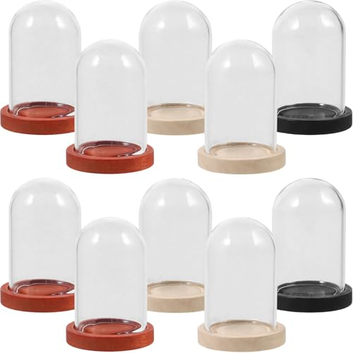 BESPORTBLE Elegante Protección con Base de Madera 10 Juegos de Cúpulas Transparentes para Flores Preservadas para Creaciones DIY en Casa