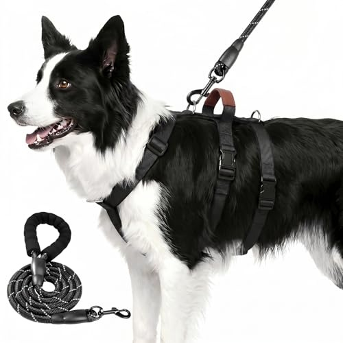 Hundegeschirr ohne Zug, Anti Zug Sicherheitsgeschirr Hund,Sicherheitsgeschirr Hund Ausbruchsicher,Hundegeschirr Ausbruchsicher,Leicht Atmungsaktiv Weste für Mittelgroße und Große Hunde (Schwarz, L)
