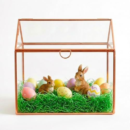 D'Eco Glas-Terrarium (25,4 x 15,2 x 20,3 cm) – Tisch-Terrarium für Sukkulenten, Luftpflanzen, Moos – Sommerhaus, Garten, Büro und Hochzeit, botanische Dekoration – Geschenk für Pflanzenliebhaber