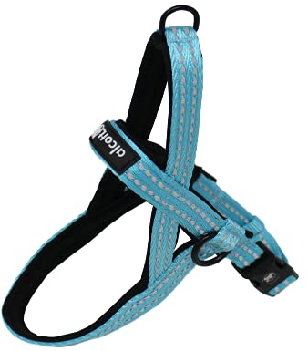 Alcott Norwegergeschirr, Blau, Größe L