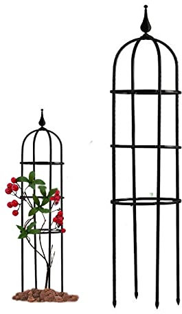 RADAAB Giardino da Obelisco, Supporto Traliccio Piante Rampicanti, Nero Grigliato a Colonna, per rampicanti, Verdure, Fiori, Frutta, Vite (Size : 10/25cm Diax47.3/120cm H)