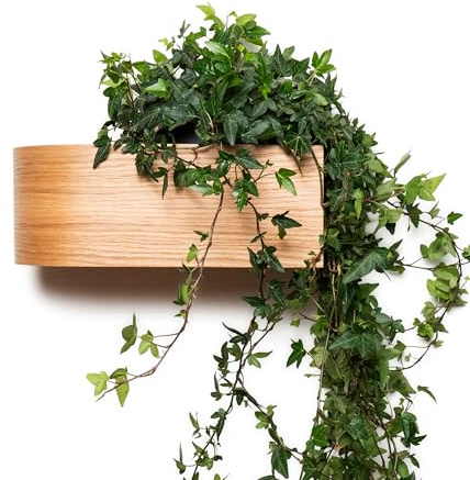 Maceta de pared para interiores, estante de madera para plantas, suculentas, hierbas, estantes escandinavos curvados (nogal)