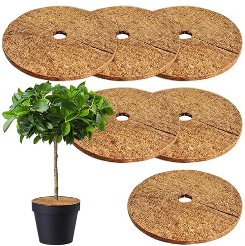 6 Stück Kokos Mulchscheibe 20 CM Kokosscheibe Kokos Pflanzenschutz Kübelabdeckung Kokos Kokosfasermatte Rund Kokosscheibe für Pflanzen Kokosmatten für Pflanzenschutz Kälteschutz Frost Schutz vor Nässe