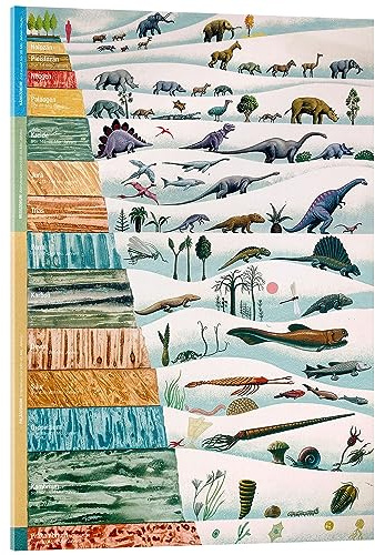 Posterlounge Dinosaurier und Erdgeschichte Acrylglasbild | 30 x 40 cm Wandbilder Wanddeko