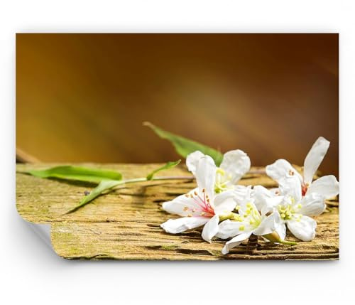 ARTTOR Papel pintado de vinilo tejido no tejido Premium Sand - Asia spa bambú flor - 450x315 cm - Fotomurales Moderna Decorativos Papel tapiz fotográfico Dormitorio Para la sala - WF2AA450x315-2499