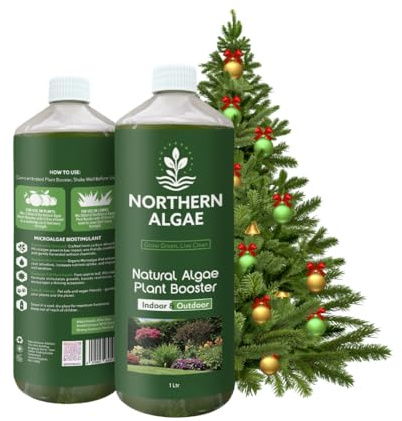 Northern Algae Christmas Tree Feed. Concentrated Plant Food, Sustainably Sourced Microalgae Biostimulant. Extend Freshness & Prevent Needles Dropping. Indoor & Outdoor Use. Natural Christmas Tree Food