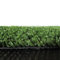 SUNNY STAR Prato Verde 1x3mt