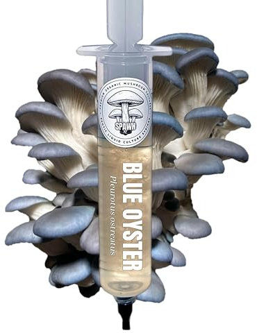 Blue Oyster (Pleurotus ostreatus) Liquid Culture 20mL | Spawn Mycology