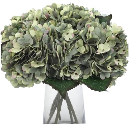 NASSMOSSE Hydrangea Artificial Flowers 6Pcs 13 Inch Lifelike Green Fake Hydrangeas Long Stem Low Maintenance Silk Flowers for Arrangement