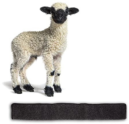 BigDean Zugluftstopper für Türen 80cm - 100% Schurwolle - Anthrazit - Türluftstopper Luftzugstopper Windstopper - Made in Germany