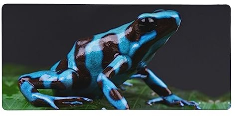 Dart Frog Blue Mouse Pad Large Gaming Mousepad Non-Slip Keyboard Pad Waterproof Desk Mat, Mouse Mat for Office and Home 35.5 x 16