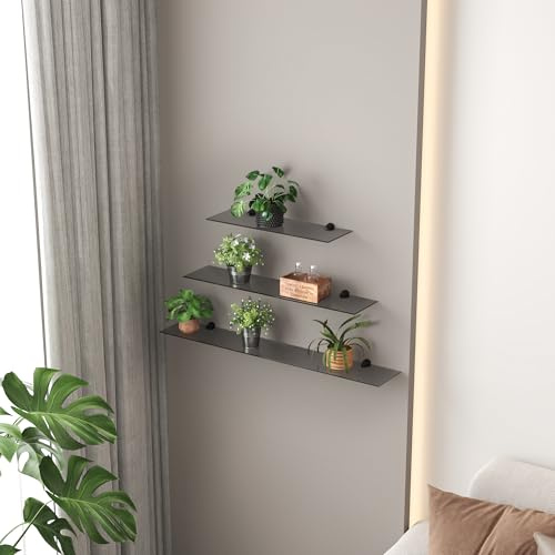 Euro Tische Glas Wandregal Grauglas - 50 cm