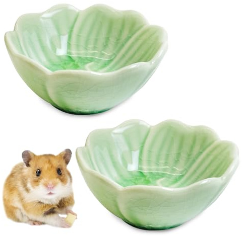BNOSDM 2 Pcs Hamster Ceramic Food Bowl Flower Series Gerbil Drinking Bowls Anti-Turning Food & Water Dish for Dwarf Syrian Hamsters Gerbil Chinchilla（Green, Narcissus Pattern）