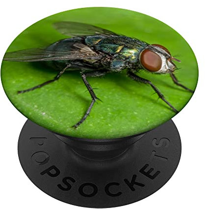 Macro insect fly picture for exterminator PopSockets Swappable PopGrip