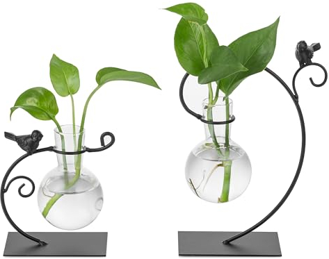 Sziqiqi Vermehrungsstation Pflanzen Glas Vase - Hydroponik Pflanzenständer Set von 2 Kleinen Terrarium Vasen mit Metall Kreative Vogel Stand Moderne Birne Vase für Wohnzimmer Tischdeko Küche Desk