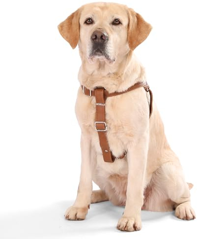 Hundegeschirr Leder Softgeschirr Verstellbare Brustgeschirre Norweger Haustier Ledergeschirr Weichem für Kleine Mittlere Große Hunde (L, braun)