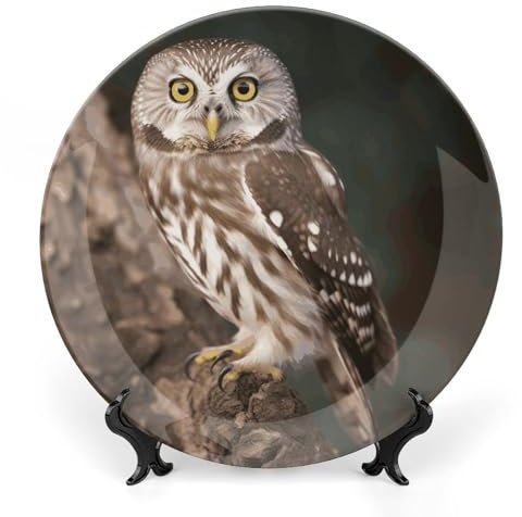 JTKBNVM Grandes assiettes décoratives en porcelaine anglaise de 20,3 cm avec support de présentation pour cuisine, salle à manger, 20,3 cm