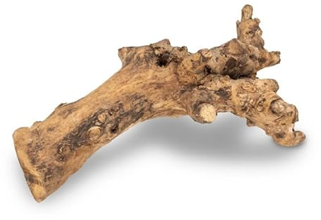 NaDeco Kuwa Deko-Wurzel, in den Größen 25-30 cm und 40-50 cm wählbar | Deko-Wurzel für Terrarien | Holzdeko | Deko-Holz | Terrarium-Dekoration | Deko-Wurzelholz | Echte Wurzel, Größe:40-50 cm