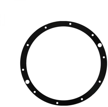 Hayward - Joint de Bride pour projecteur de Piscine SP0512 Eurolite - SPX0506DE