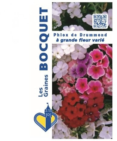 Sachet de graines de Phlox de Drummond varié - 0,5 g - fleur annuelle - LES GRAINES BOCQUET