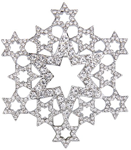 EVER FAITH österreichischen Kristall Elegante aushöhlen Stern Cluster Schneeflocke Blume Brosche Pin Klar