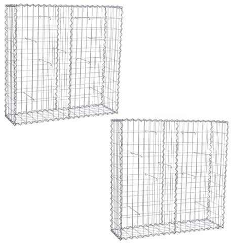 Estexo Lot de 2 gabions avec Spirales et Porte-écarteurs Inclus 100 x 100 x 30 cm