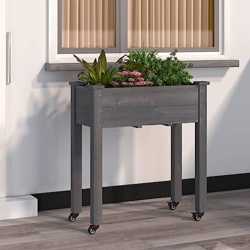 Hochbeete FüR Garten,Hochbeet BalkonpflanzküBel Mit Einsatz Und Rollen Grau 71x37x80 cm Tannenholzgeeignet FüR Garten, Eingang, Schlafzimmer, Wohnzimmer, Korridor, BüRo