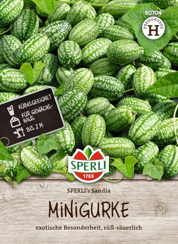 Sperli Minigurkensamen SPERLI's Sandia 80704, Gemüsesaat | Für Snacks und Salate, Gemüsesamen für Garten und Balkon, Samen für Gemüseanbau, Wuchshöhe ca. 2 m