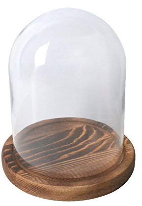 Cupola in vetro con campana di vetro, Campana di vetro a forma campana con vassoio base in legno 11x15 cm